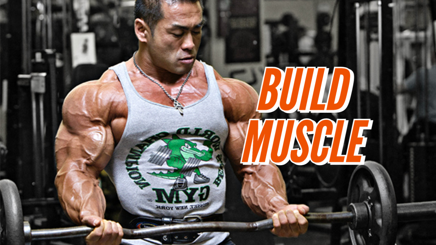 BUILD MUSCLE – ページ4 – Bodi Cafe