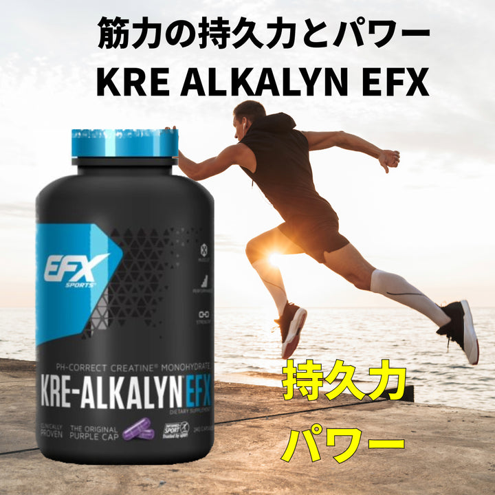 EFX スタック - Karbolyn Fuel / KRE ALKALYN EFX / トレーニンググラウンド EAA / グルタゾールブ / テストチャージキット