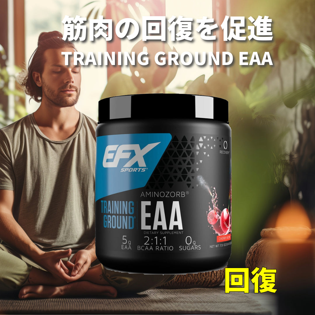 EFX スタック - Karbolyn Fuel / KRE ALKALYN EFX / トレーニンググラウンド EAA / グルタゾールブ / テストチャージキット