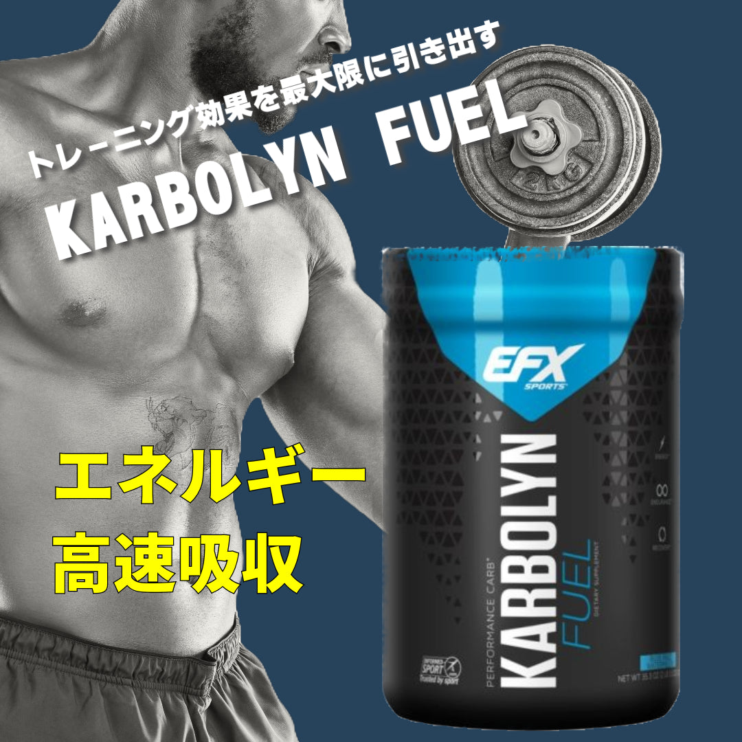 EFX スタック - Karbolyn Fuel / KRE ALKALYN EFX / トレーニンググラウンド EAA / グルタゾールブ / テストチャージキット