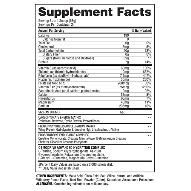 GASPARI BASIC STACK 2024 - SIZEON / Anavite / NOLIMIT